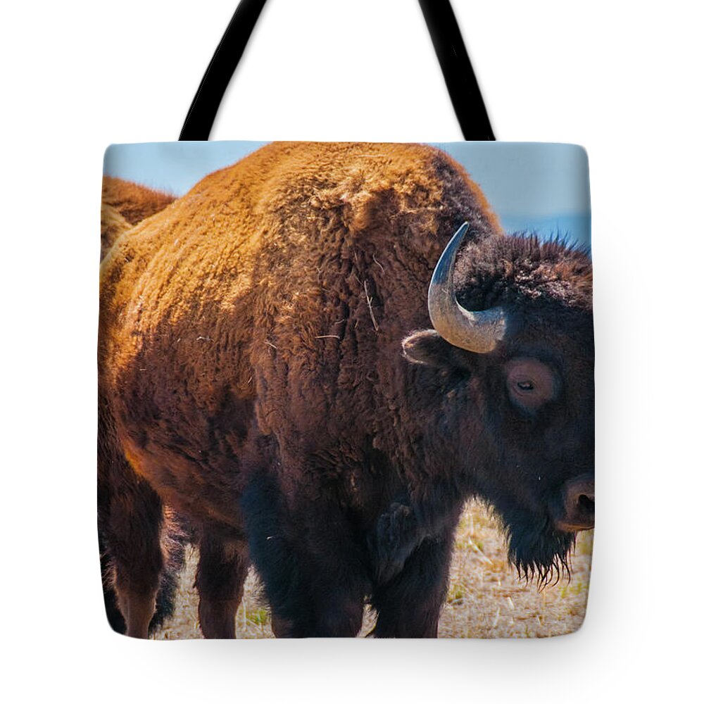 Agriculture Tote Bag featuring the photograph Bison in Field in the Daytime by Tom Potter