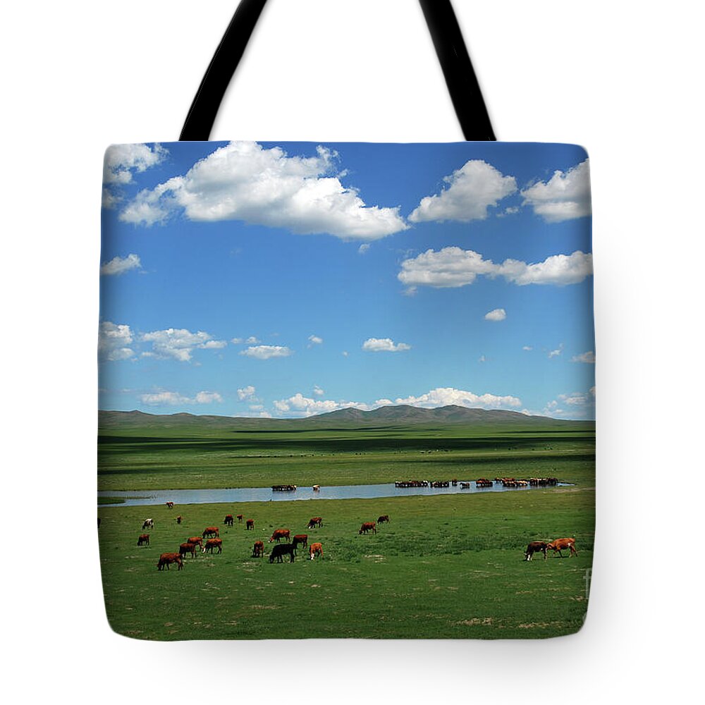 One Day Countryside Tote Bag featuring the photograph One day Countryside by Elbegzaya Lkhagvasuren