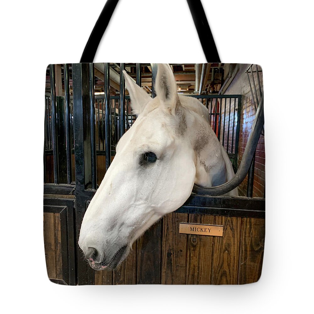 Animals Tote Bag featuring the photograph One-eyed Mickey by Lora J Wilson
