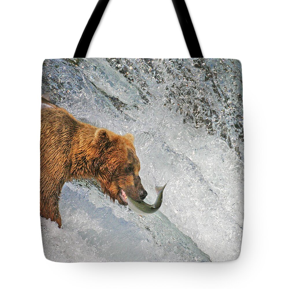 Bear Tote Bag featuring the photograph One lucky one not by Ed Stokes