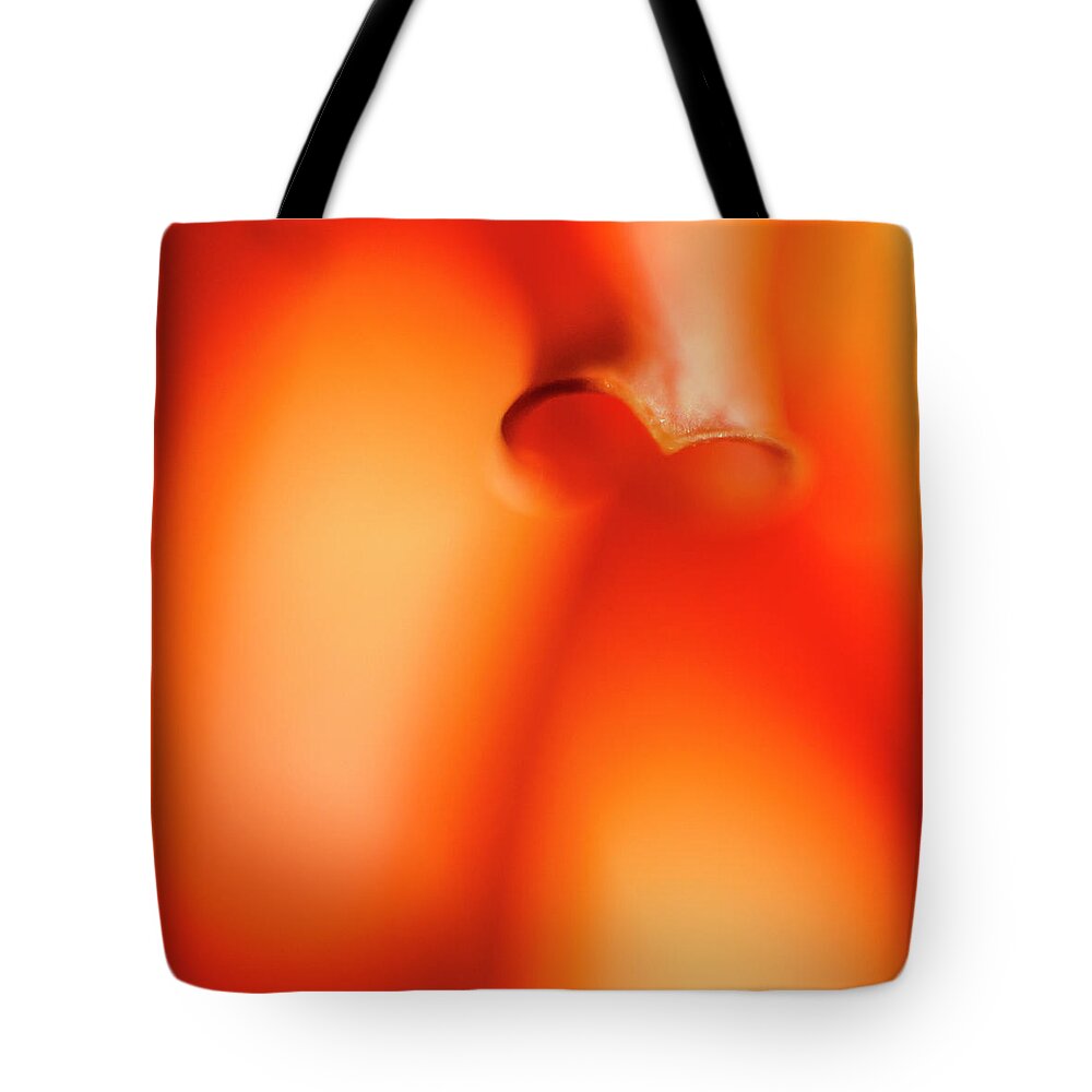 Orange Tote Bag featuring the photograph One Soft Pillar by Tony Locke