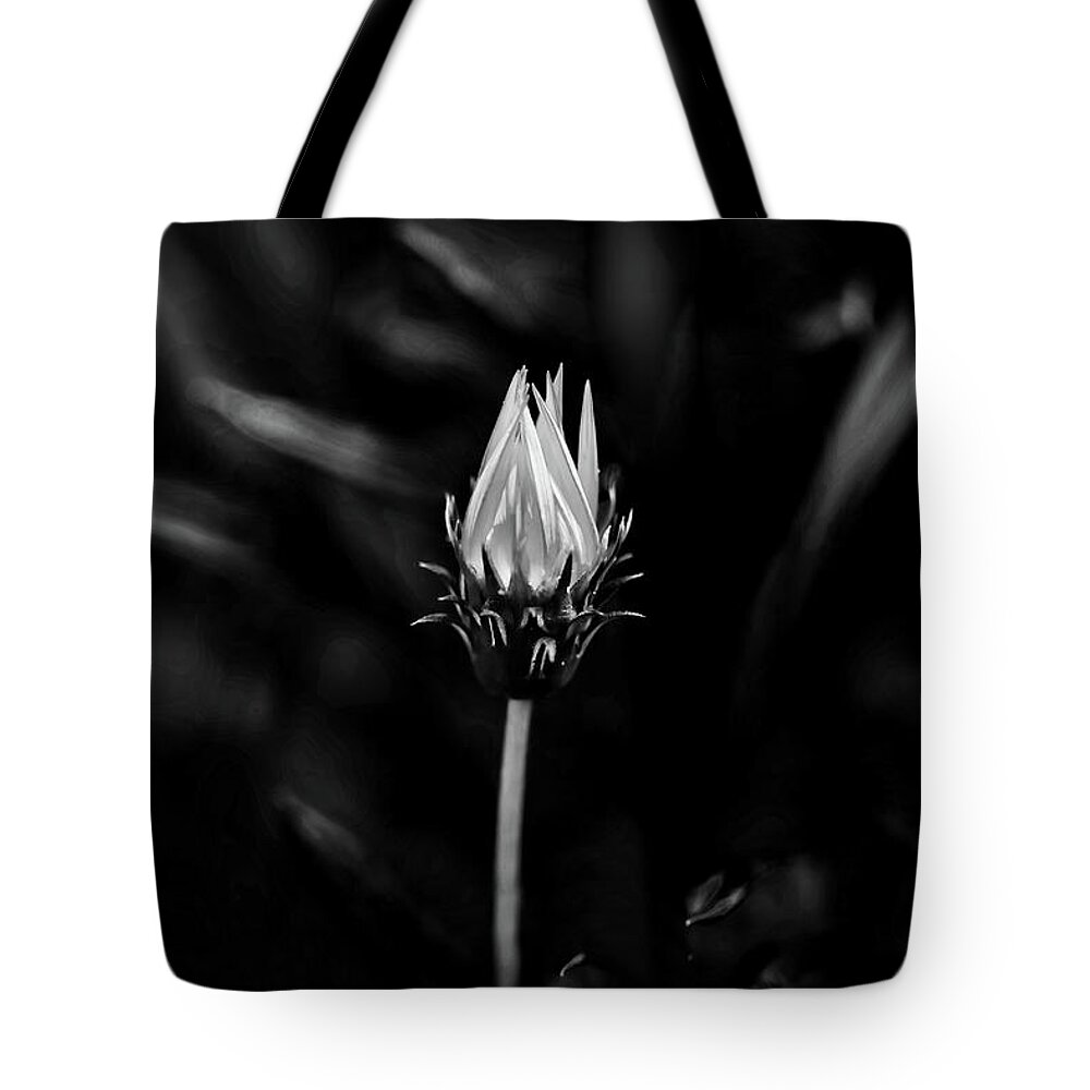 Beautiful Black And White Flower Tote Bag featuring the photograph Only You by Az Jackson