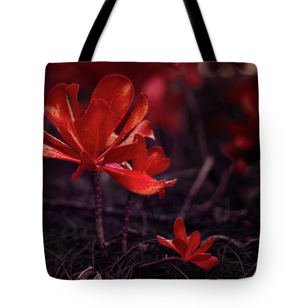 Beach Cabbage Photo Tote Bag featuring the photograph Orange Beach Cabbage by Gian Smith