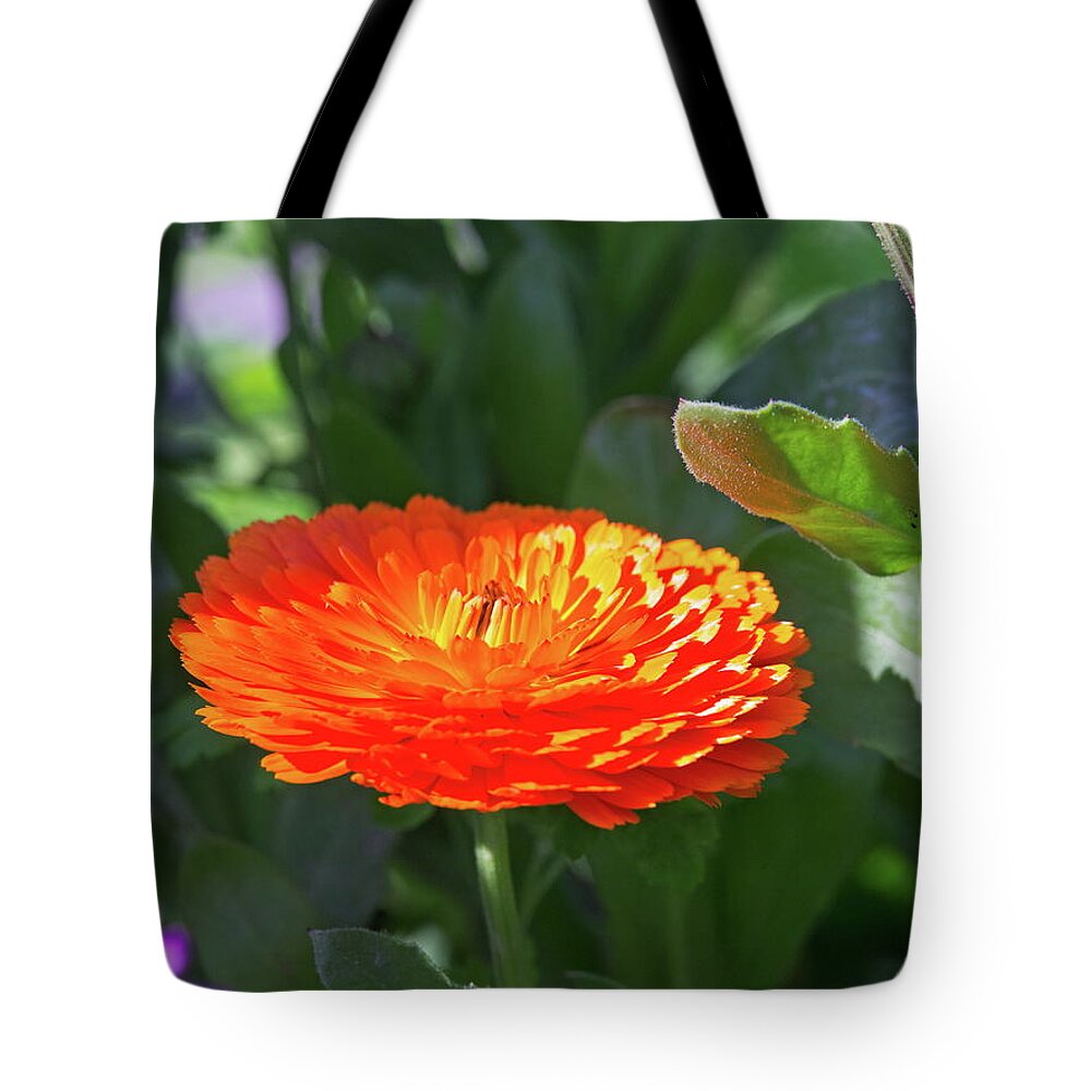 Beautiful Tote Bag featuring the photograph Orange Blossom by David Desautel
