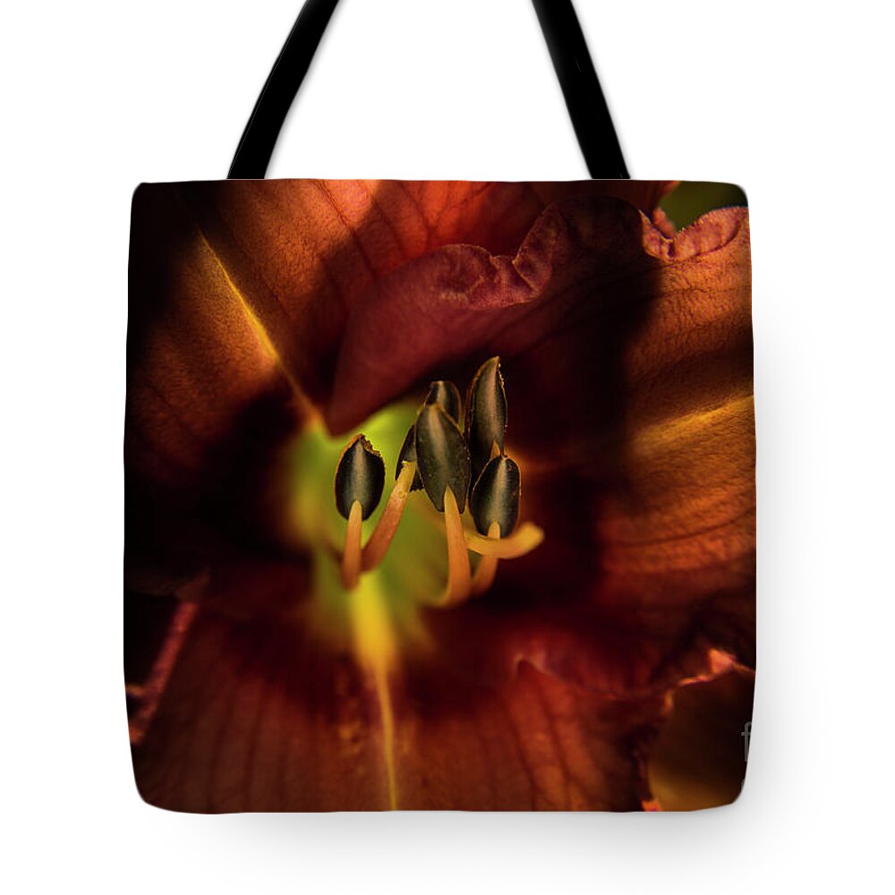 Orange Day Lily Stamen Tote Bag featuring the photograph Orange Day Lily Stamen by Alana Ranney