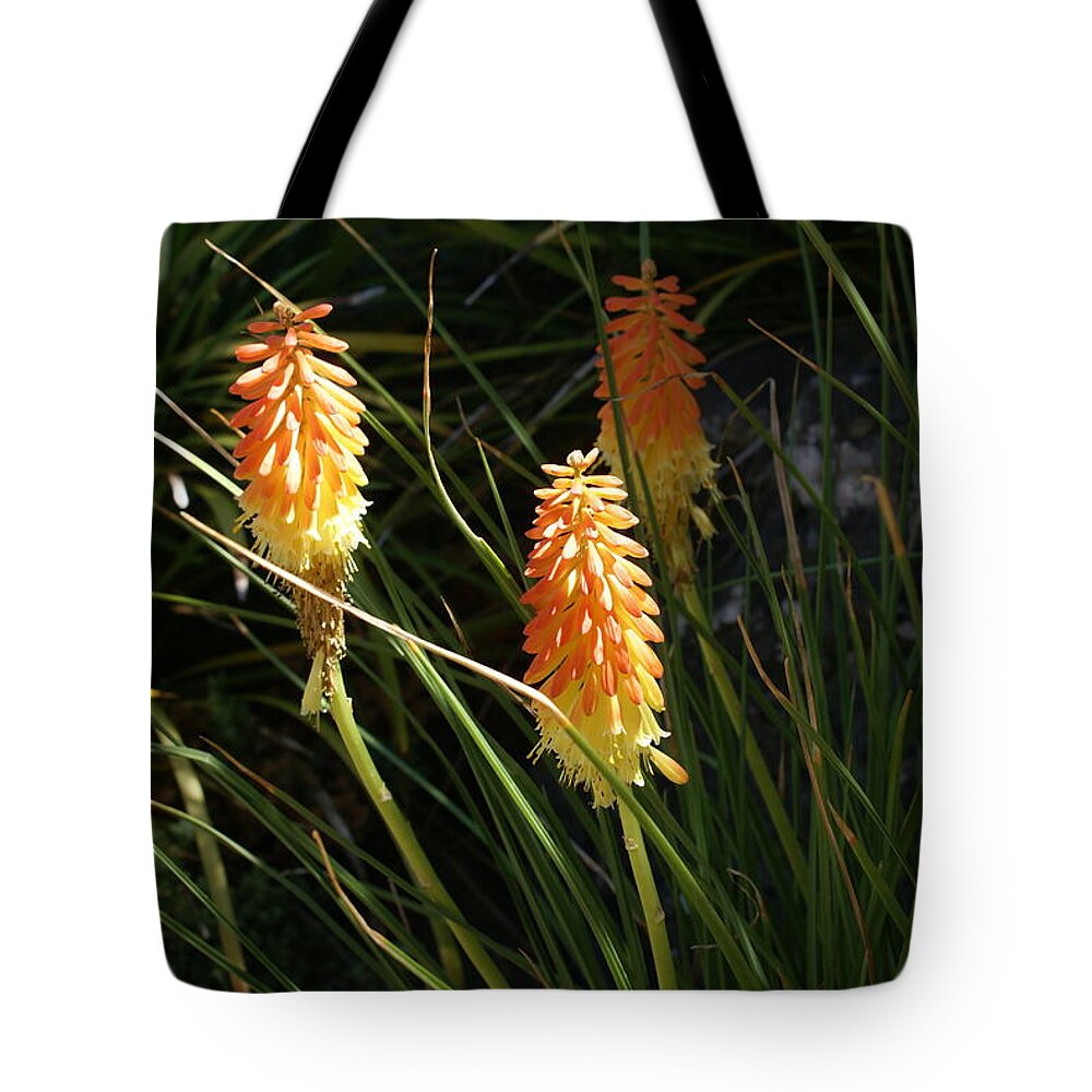  Tote Bag featuring the photograph Orange Delight by Heather E Harman