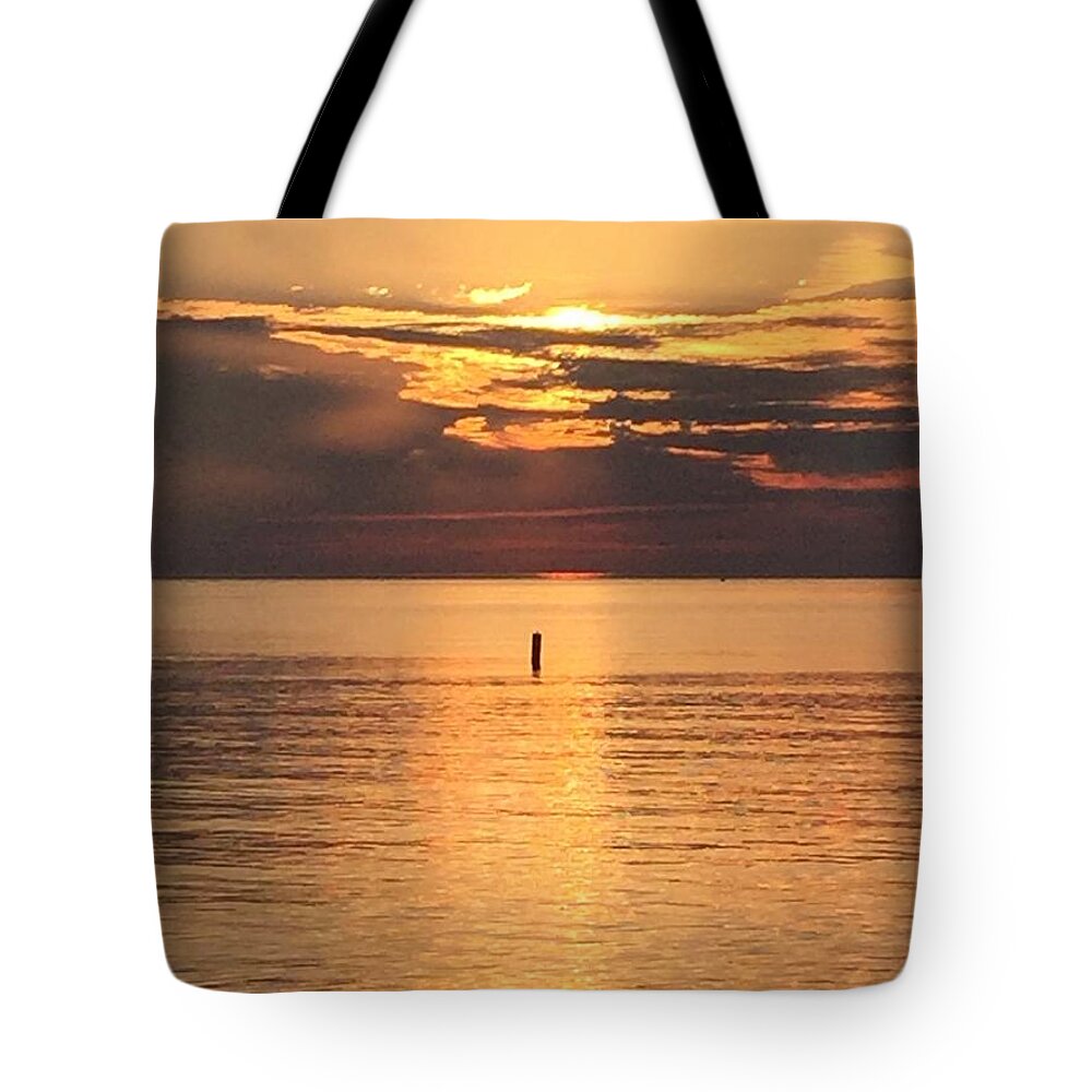 Photography Tote Bag featuring the photograph Orange Evening by Lisa White