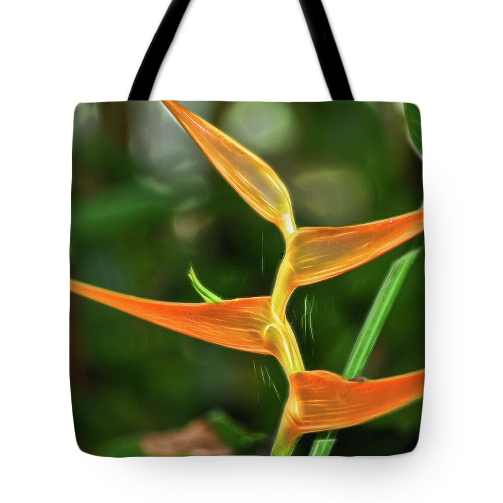 Orange Flower Tote Bag featuring the photograph Orange Flower at Botanical Gardens by Cordia Murphy
