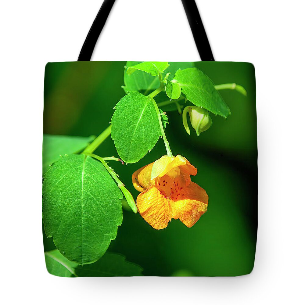 Balsam Family Tote Bag featuring the photograph Orange Jewelweed DFL1221 by Gerry Gantt