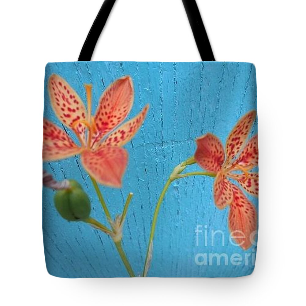 Orange Tote Bag featuring the photograph Orange Lily on blue by Nancy Graham