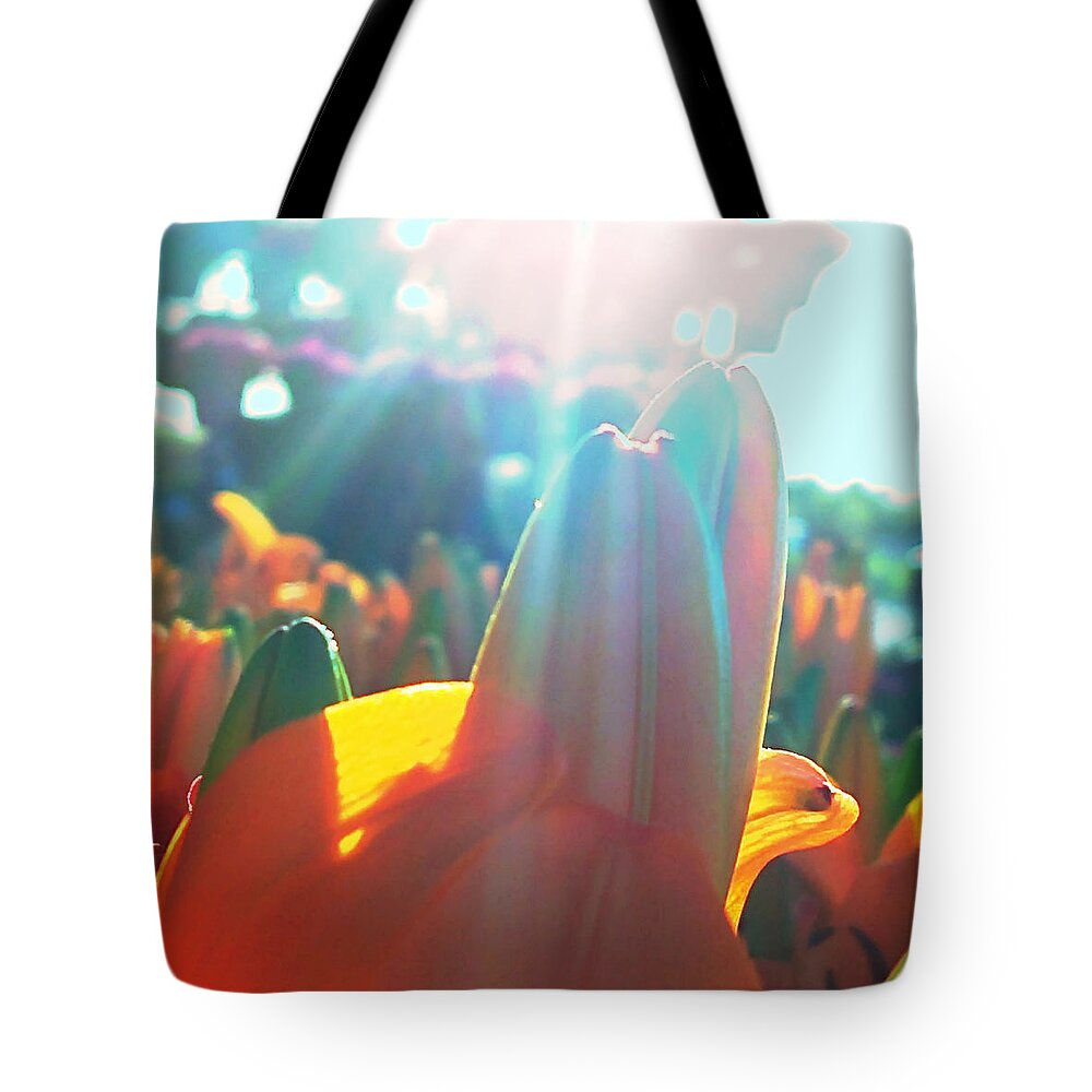Orange Lily Closeup Tote Bag featuring the digital art Orange Lily Sun Splash by Pamela Smale Williams