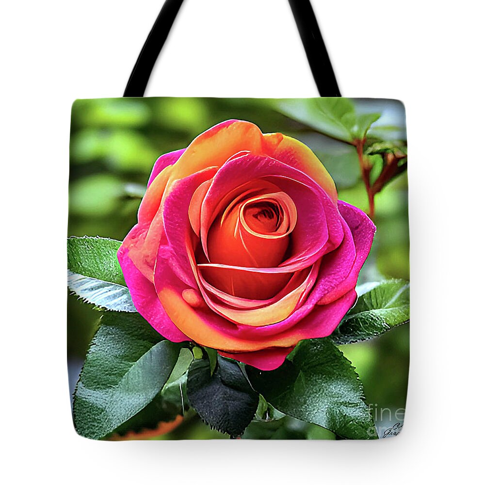 Roses Tote Bag featuring the digital art Orange Pink Rose by CAC Graphics