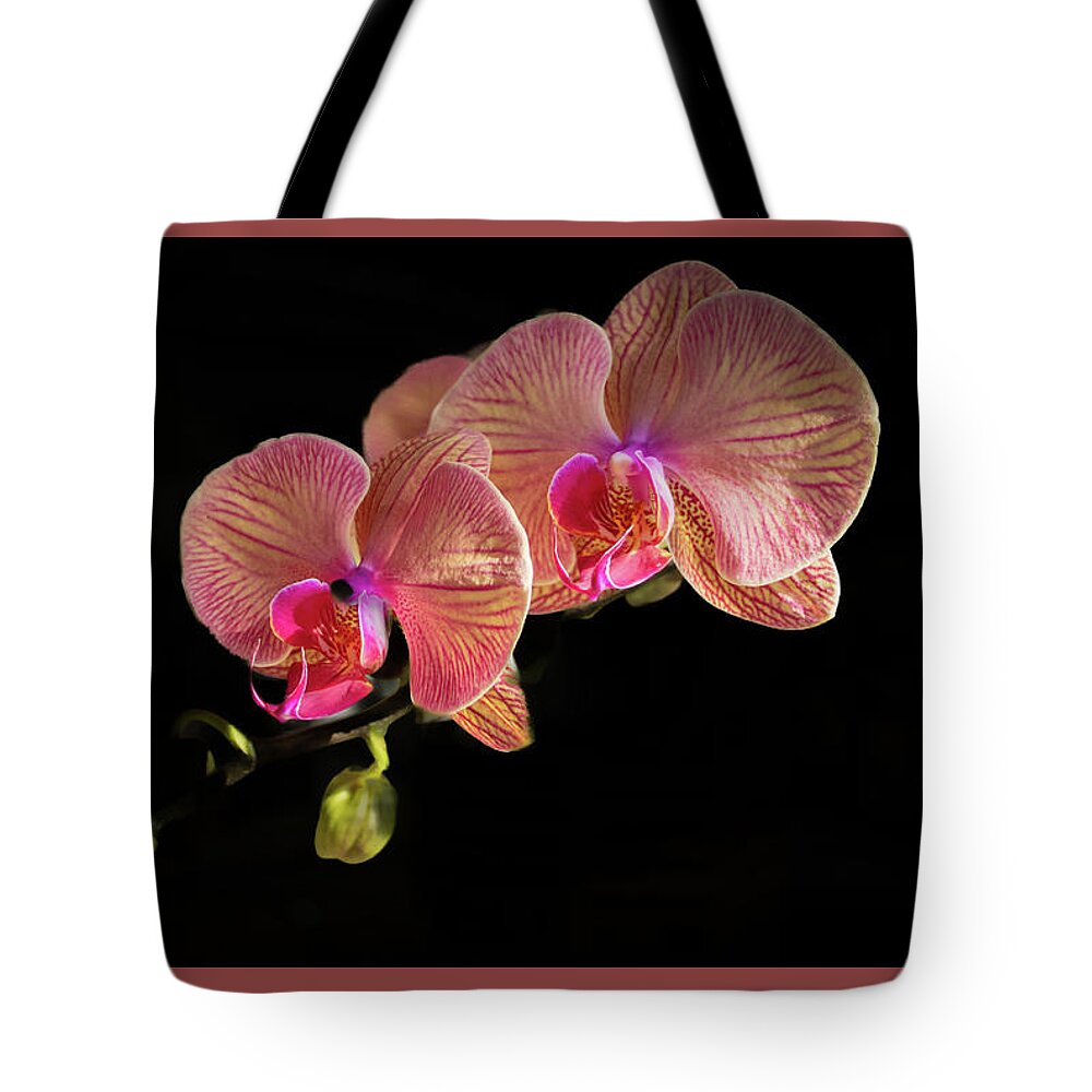 Orchid Tote Bag featuring the photograph Orchid Bloom by Richard Goldman