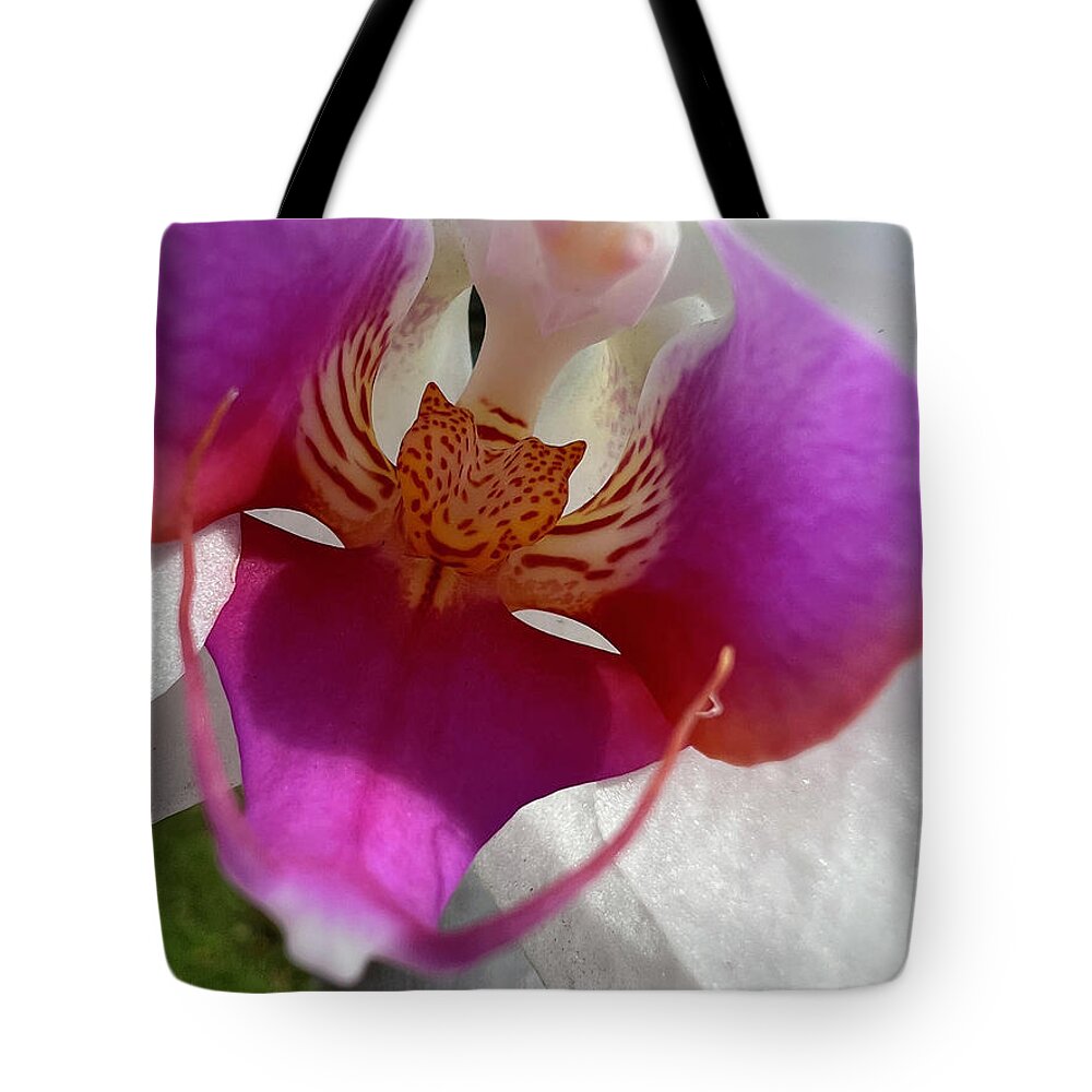 Orchid Tote Bag featuring the photograph Orchid Center Close Up by Karen Zuk Rosenblatt