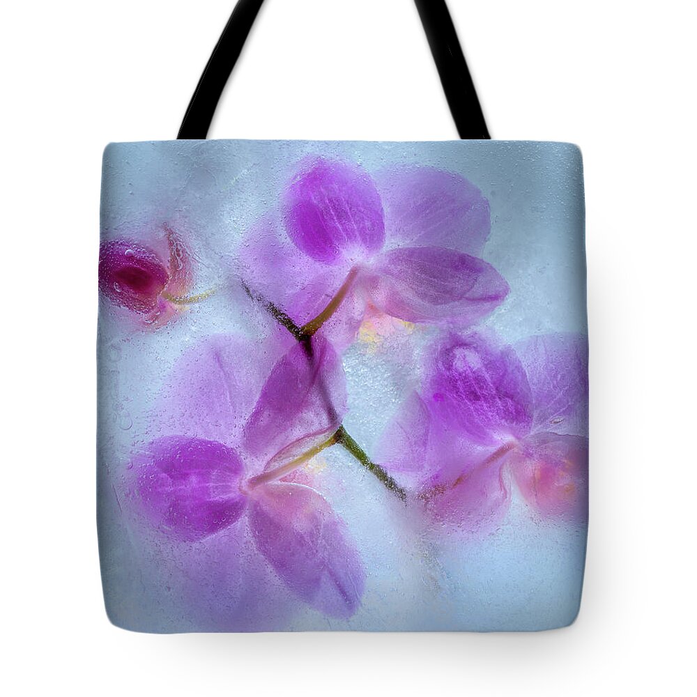 Orchid Tote Bag featuring the photograph Orchid Flowers In Blue Ice by Elvira Peretsman