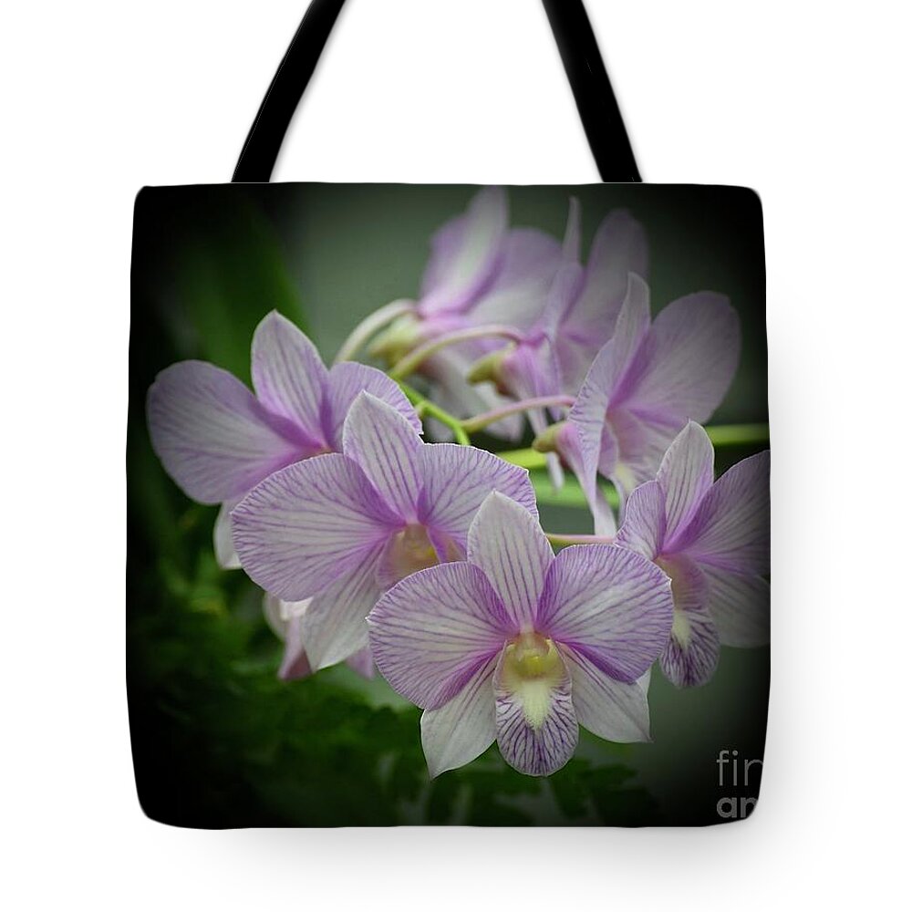Art Tote Bag featuring the photograph Orchid Stem In Lavender 2 by Jeannie Rhode