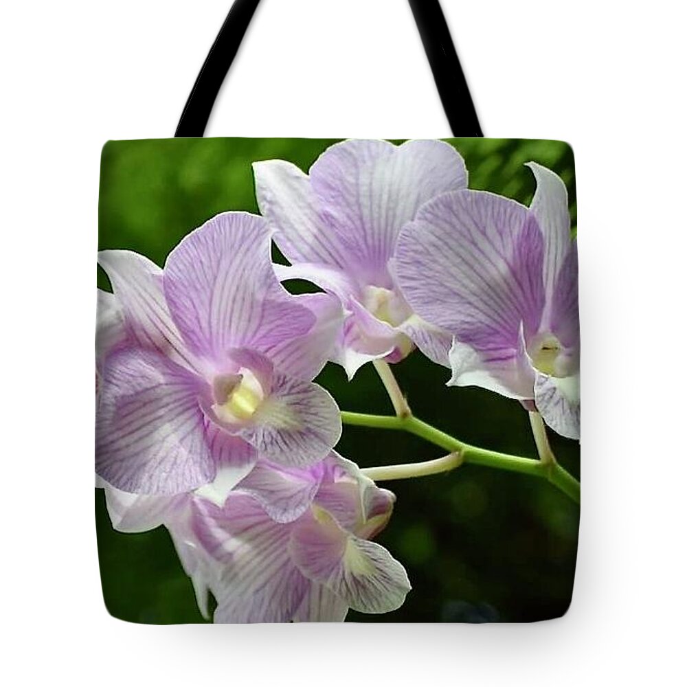 Art Tote Bag featuring the photograph Orchid Stem In Lavender by Jeannie Rhode