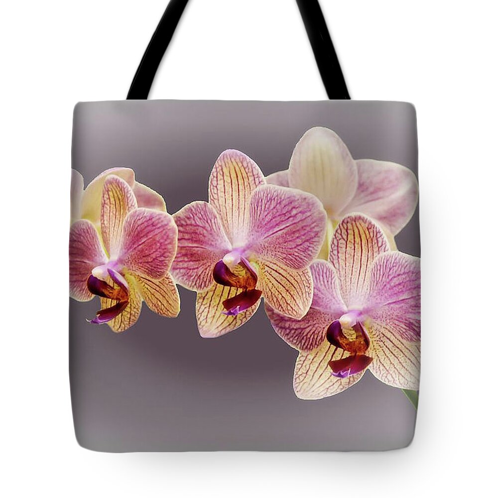 Flowers Tote Bag featuring the photograph Orchids by Geraldine Alexander