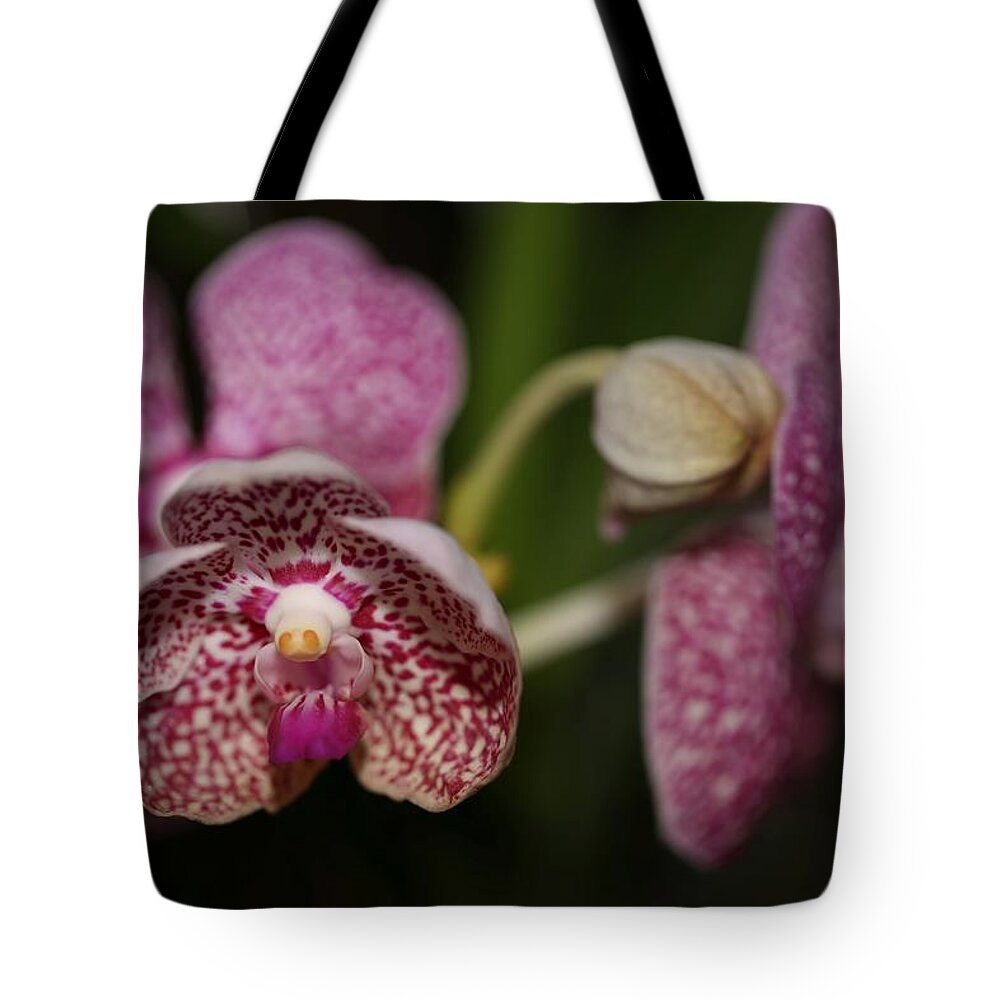 Orchid Tote Bag featuring the photograph Orchids by Mingming Jiang
