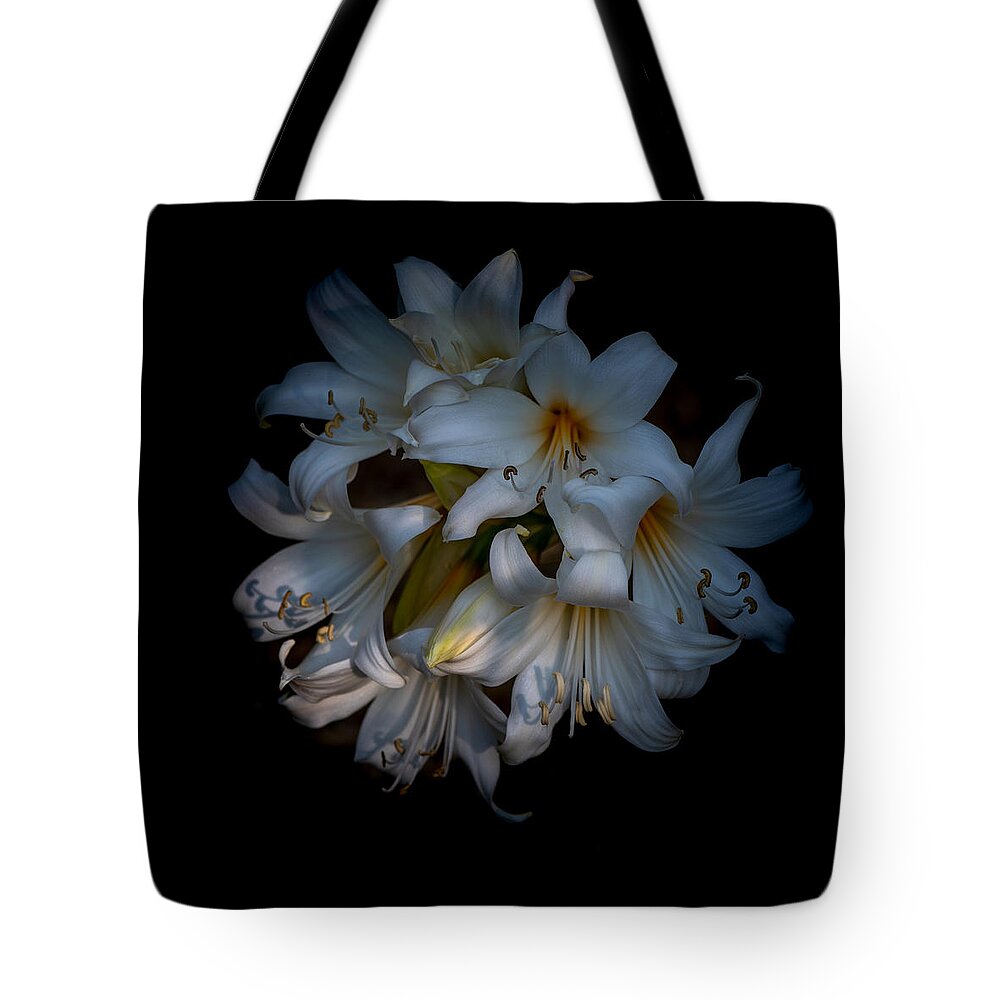 Oriental Lily Tote Bag featuring the photograph Oriental Lily bulbs, Casablanca, against black by Alessandra RC