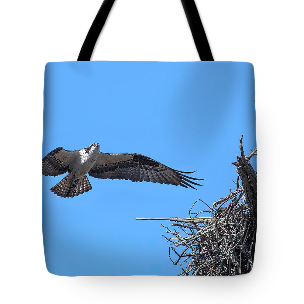 Nature Tote Bag featuring the photograph Osprey Approaching Nest DRB0281 by Gerry Gantt
