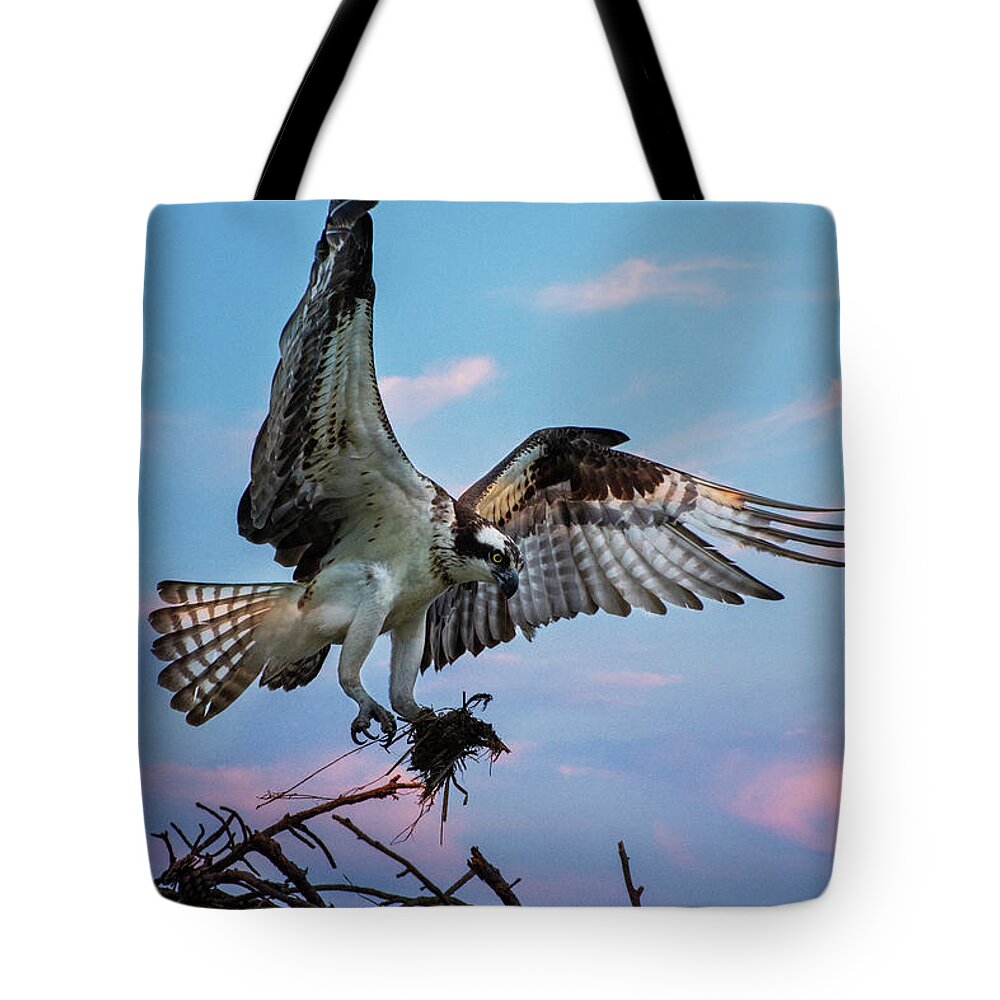 Osprey Tote Bag featuring the photograph Osprey by Crystal Wightman