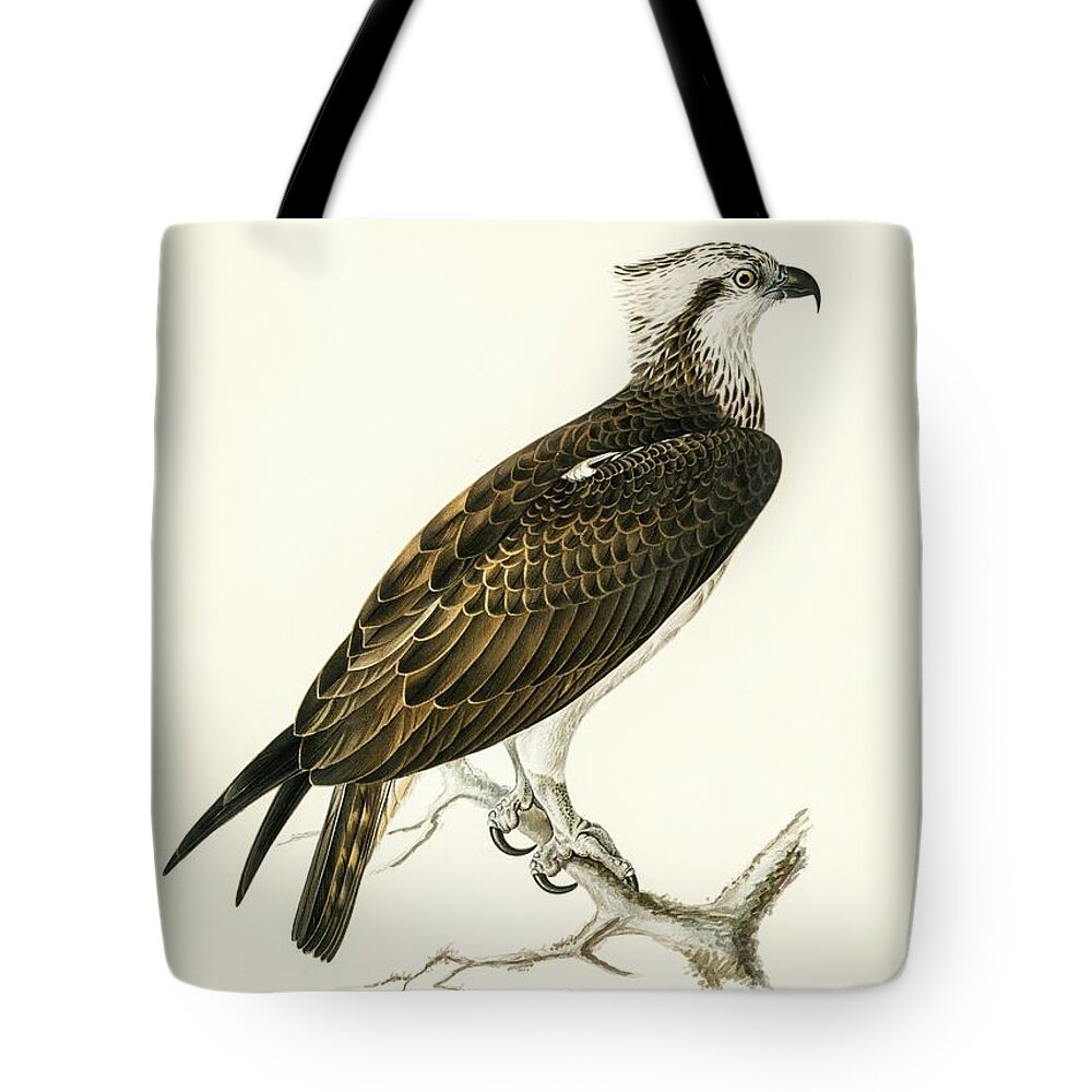 Osprey Tote Bag featuring the mixed media Osprey by World Art Collective