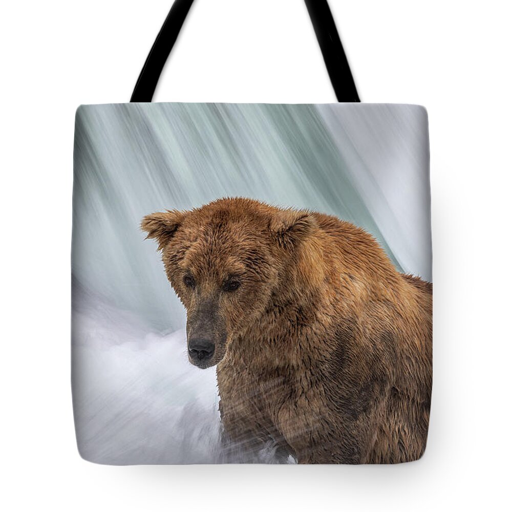 Bear Tote Bag featuring the photograph Otis by Randy Robbins