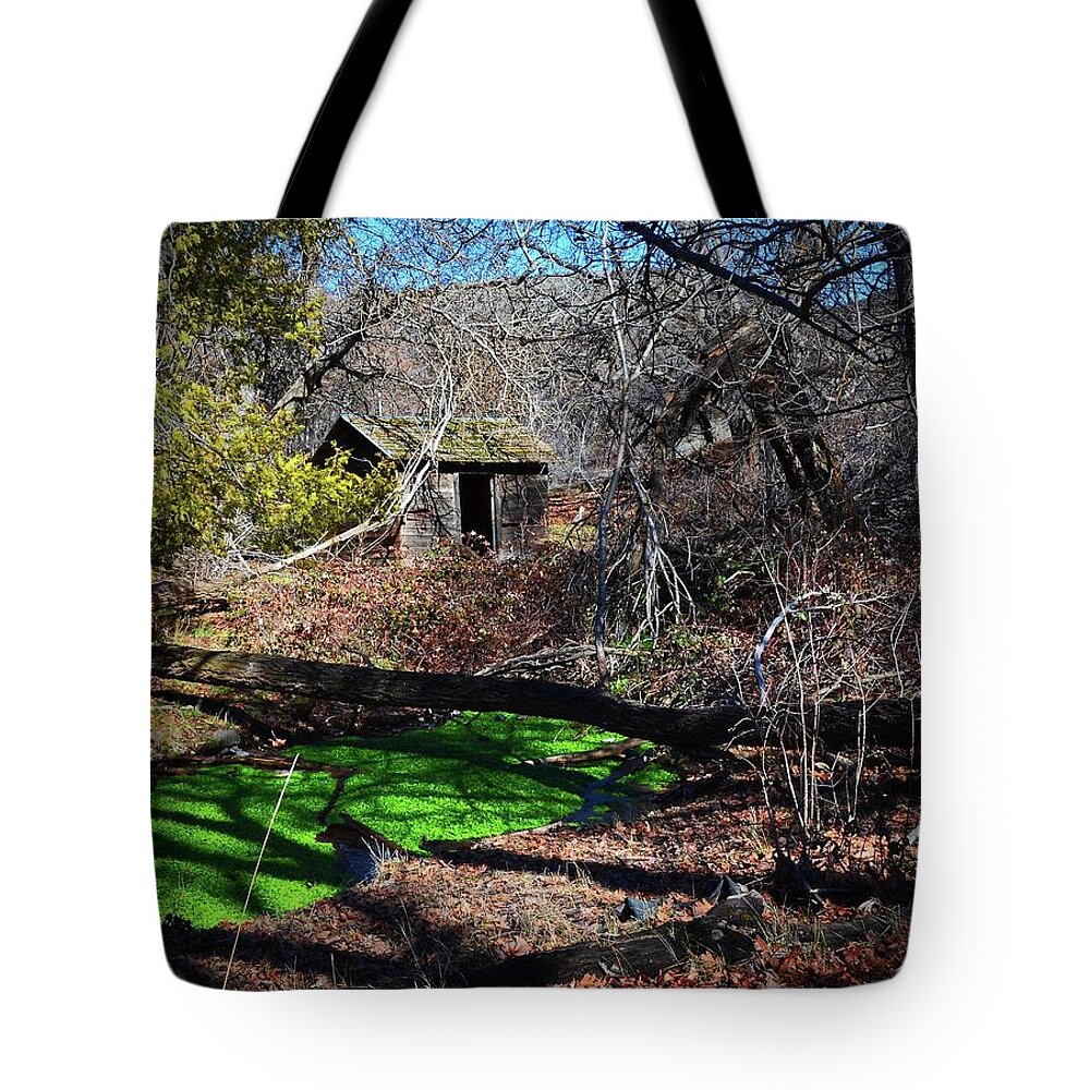 In Focus Tote Bag featuring the digital art Out Building, Rock Creek Homestead. by Fred Loring