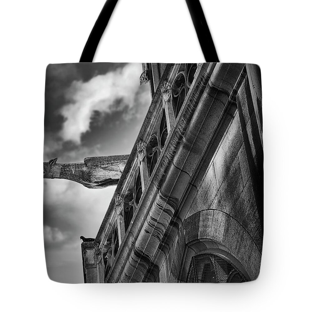 Gargoyle Tote Bag featuring the photograph Out There by John Hansen