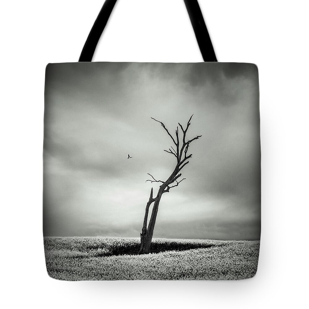 Monochrome Tote Bag featuring the photograph Out West by Grant Galbraith