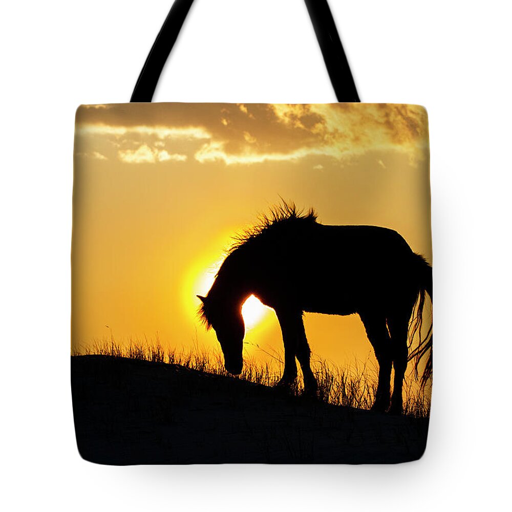 Wild Horse Tote Bag featuring the photograph Outer Banks Wild Horse Silhouette at Sunset by Bob Decker