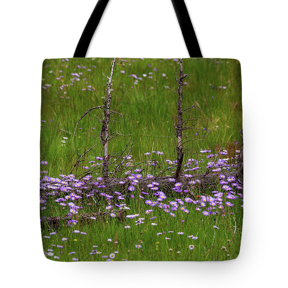 Southwest Tote Bag featuring the photograph Overcome with Beauty by Rick Furmanek