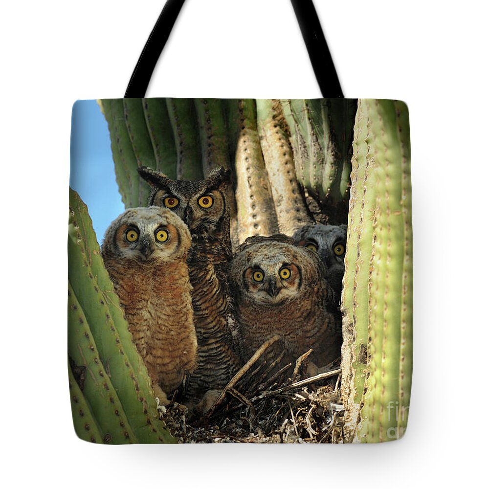 Great Horned Tote Bag featuring the photograph Owl Family in Saguaro Nest by Joanne West