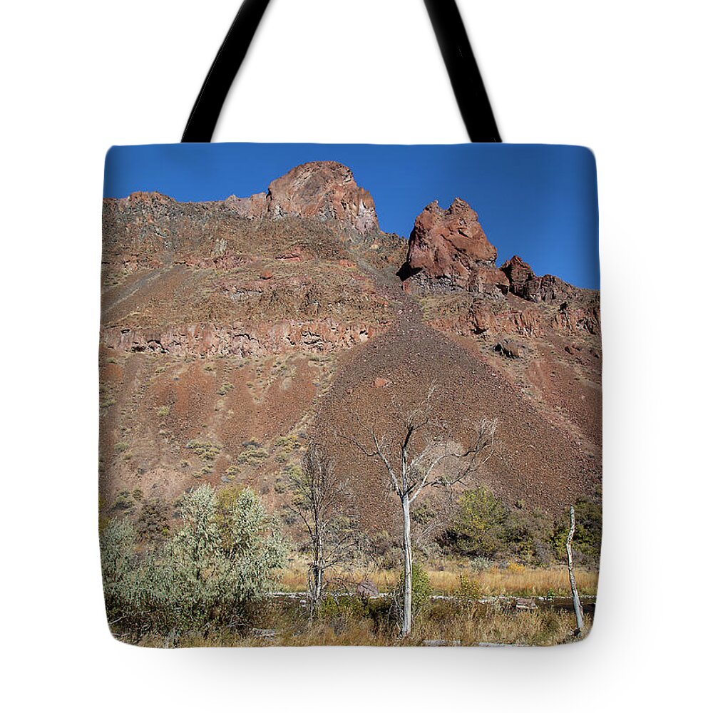 Rocks Tote Bag featuring the photograph Owyhee Lake Rocks by Dart Humeston