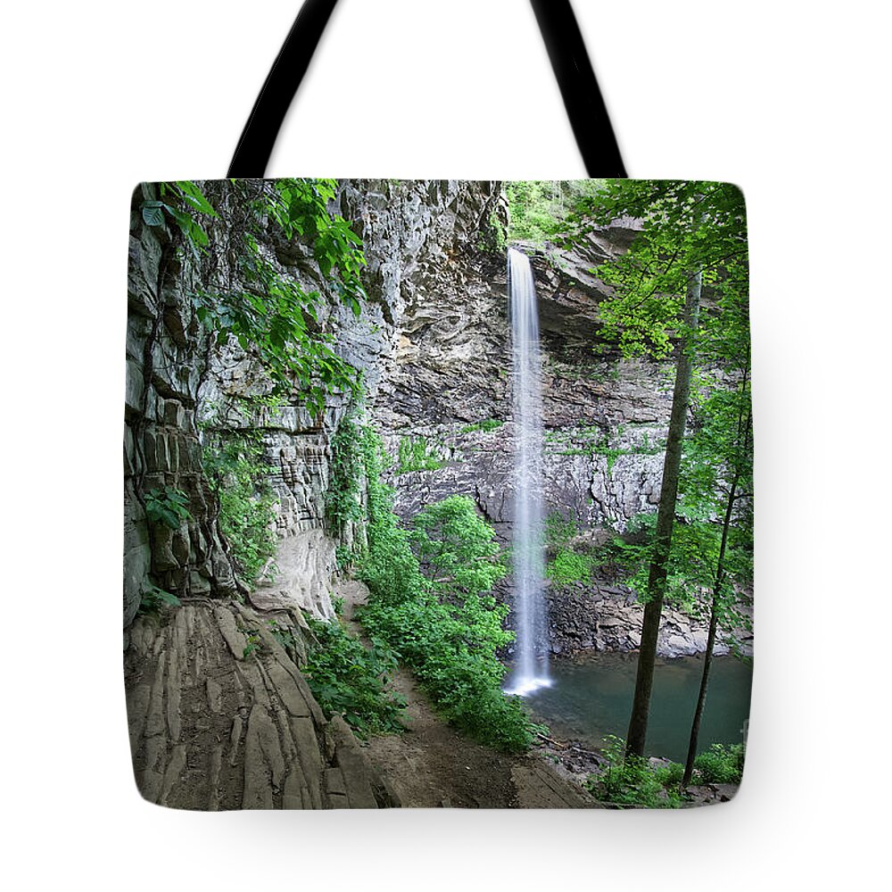 Ozone Falls Tote Bag featuring the photograph Ozone Falls 38 by Phil Perkins