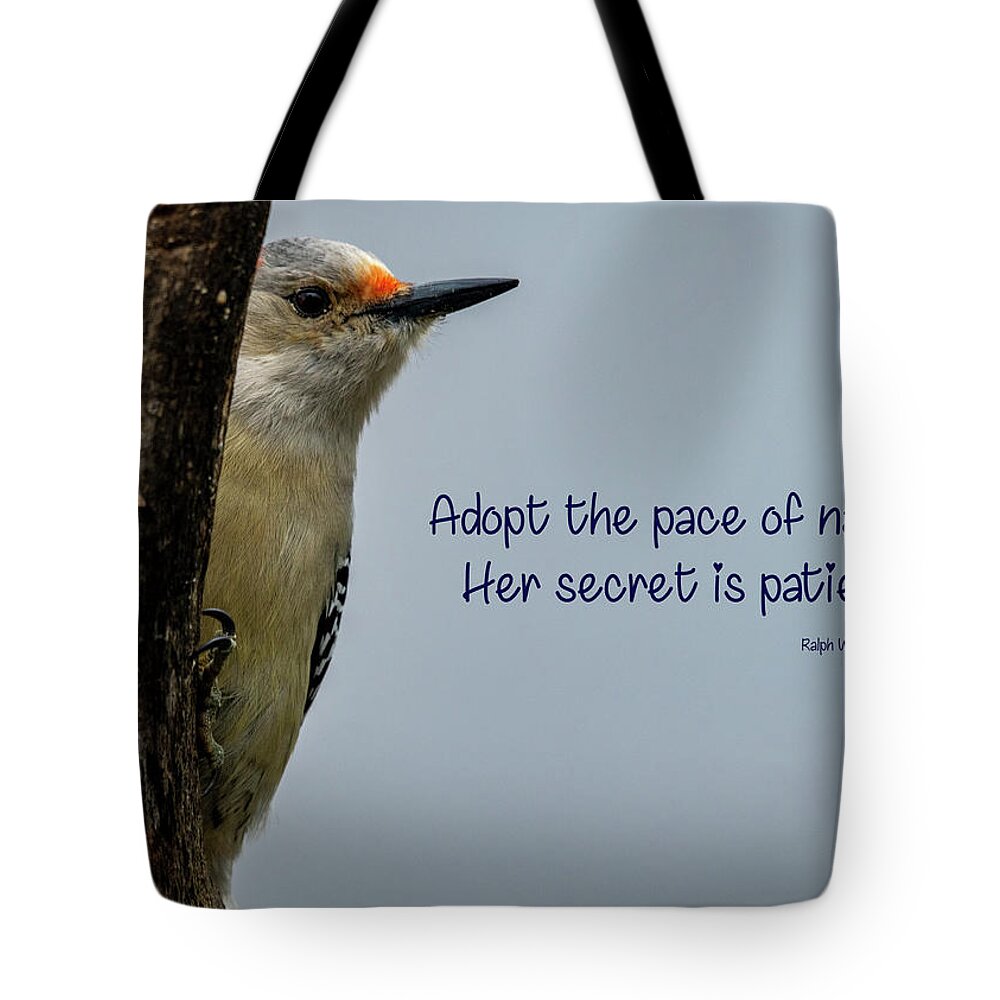 Woodpecker Tote Bag featuring the photograph Pace of Nature by Cathy Kovarik