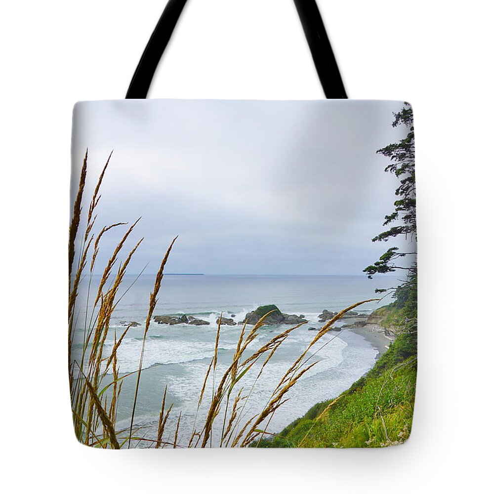 Ocean Tote Bag featuring the photograph Pacific Beach State Park by Bill TALICH