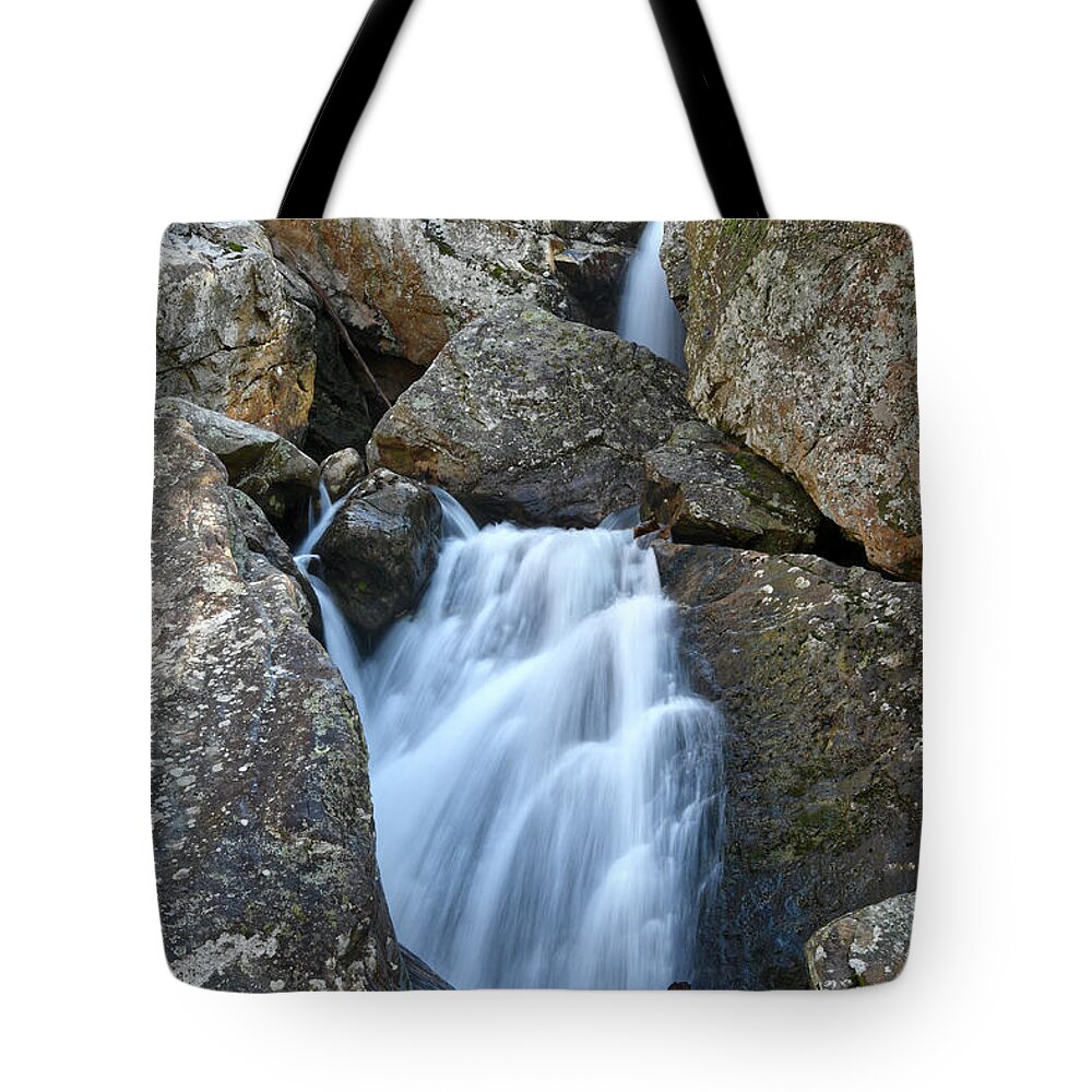 Paine Creek Tote Bag featuring the photograph Paine Creek 27 by Phil Perkins
