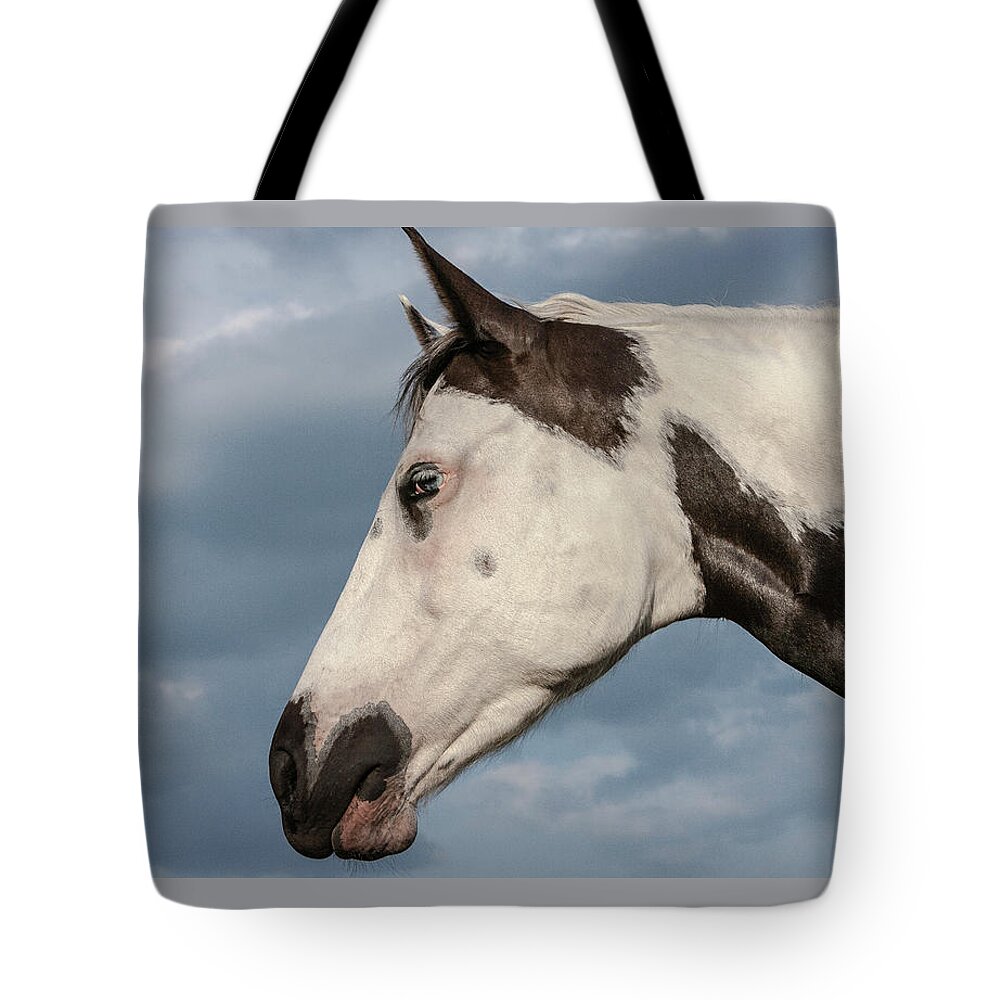 American Paint Horse Tote Bag featuring the photograph Paint by Maresa Pryor-Luzier