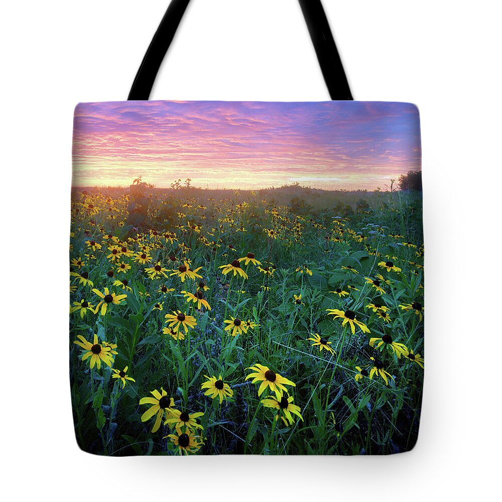 Conservation Area Tote Bag featuring the photograph Paintbrush Prairie IV by Robert Charity