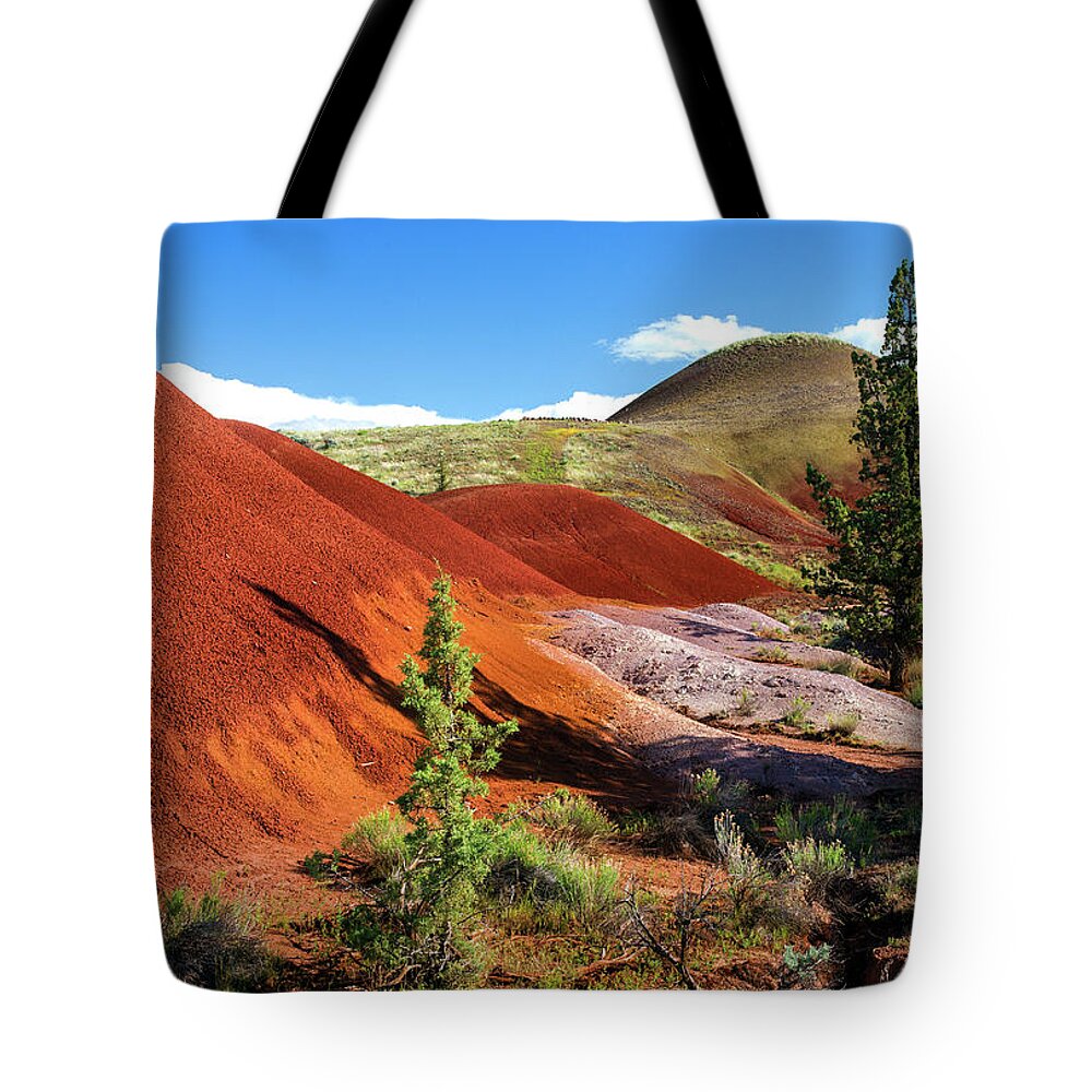 Fine Art Tote Bag featuring the photograph Painted Cove by Greg Sigrist
