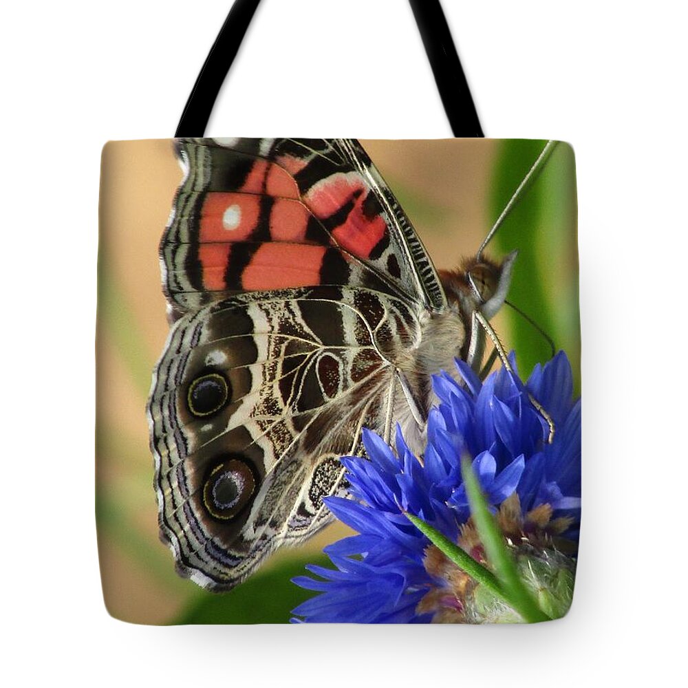 Butterfly Tote Bag featuring the photograph Painted Lady 2 by Kim Galluzzo