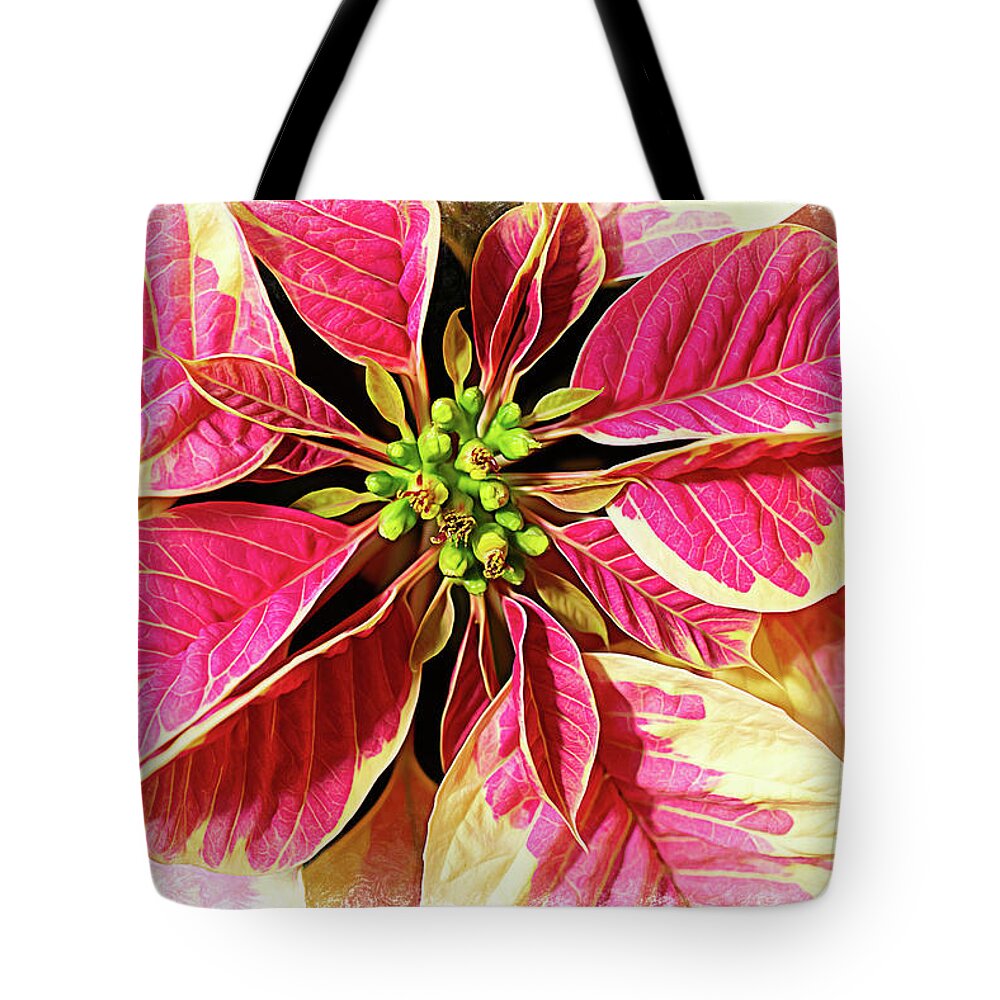 Christmas Tradition Tote Bag featuring the photograph Painted Poinsettia by Amy Dundon