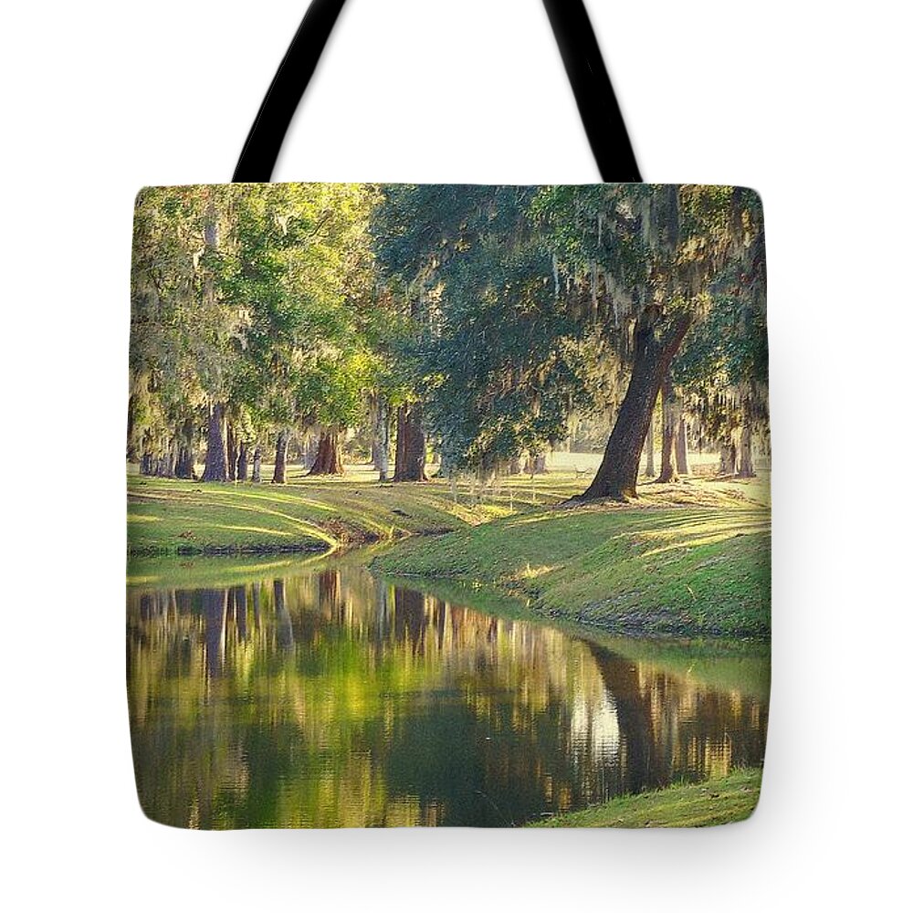 Nature Tote Bag featuring the photograph Painting Dixie by Tami Quigley