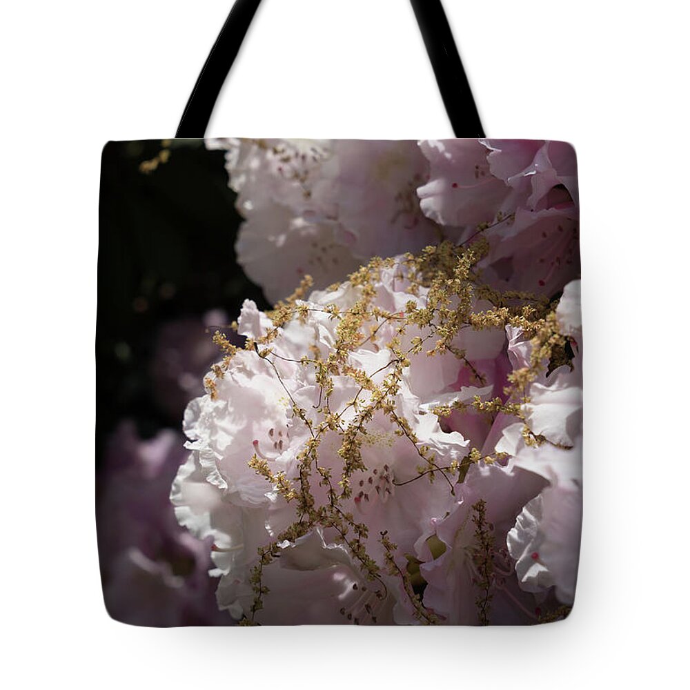 Rhododendron Tote Bag featuring the photograph Pale pink rhododendron flowers 2 by Adriana Mueller
