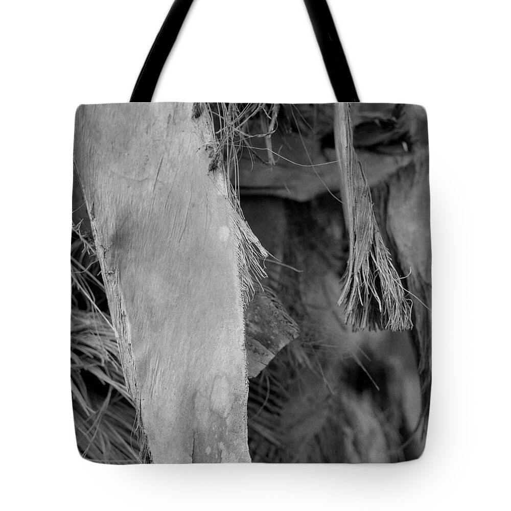 Closeup Tote Bag featuring the photograph Palm #3 by John Simmons
