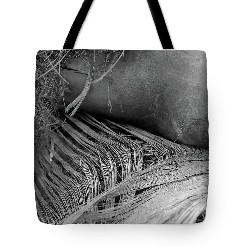 Closeup Tote Bag featuring the photograph Palm #5 by John Simmons