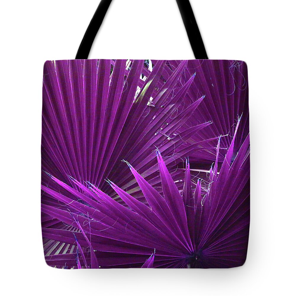 Nature Tote Bag featuring the photograph Palm Fan Fantasy by Ron Berezuk