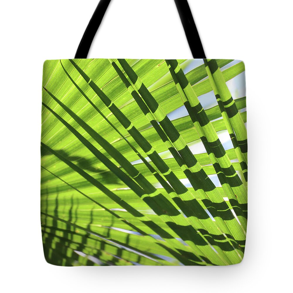 Layered Tote Bag featuring the photograph Palm Leaves Pattern by David T Wilkinson